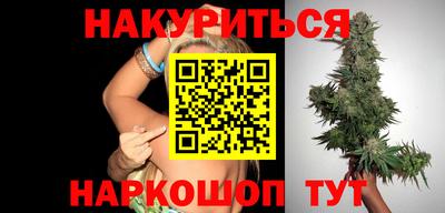 крисы Кулебаки