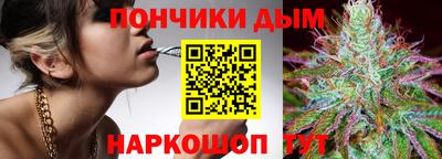 крисы Кулебаки