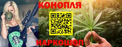 крисы Кулебаки