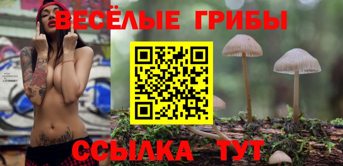 Красноармейск  Псилоцибиновые грибы мицелий  Вход с VPN  Псилоцибиновые грибы GOLDEN TEACHER 