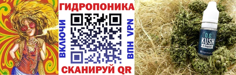 Бошки марихуана THC 21%  купить закладку  Красноармейск 